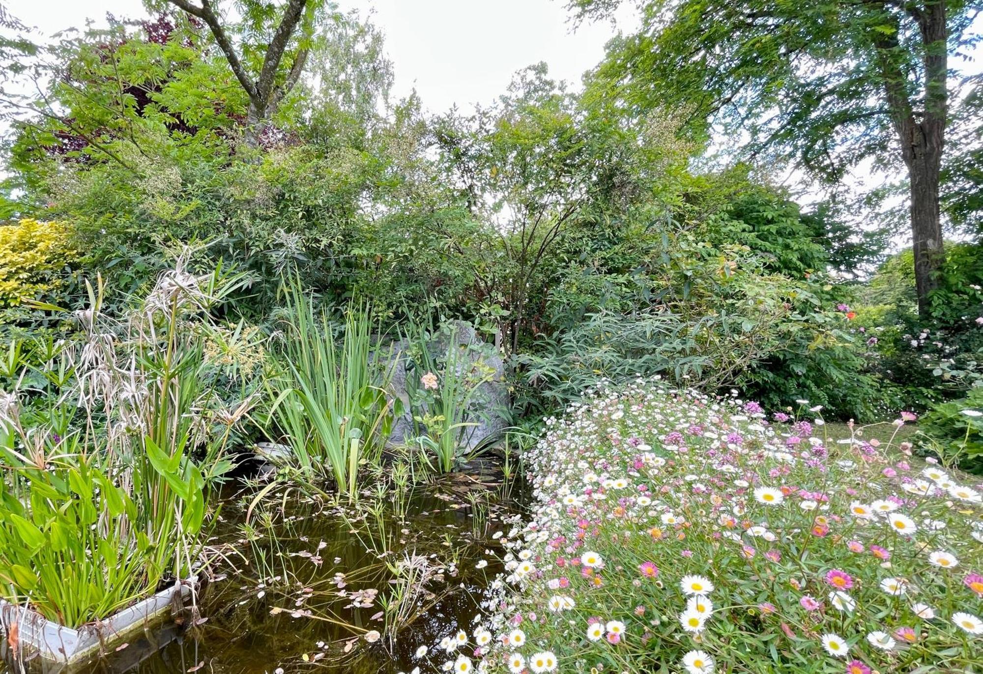 Chambre De Charme Dans Un Jardin De 1500M2 Nueil-sur-Layon Exteriér fotografie